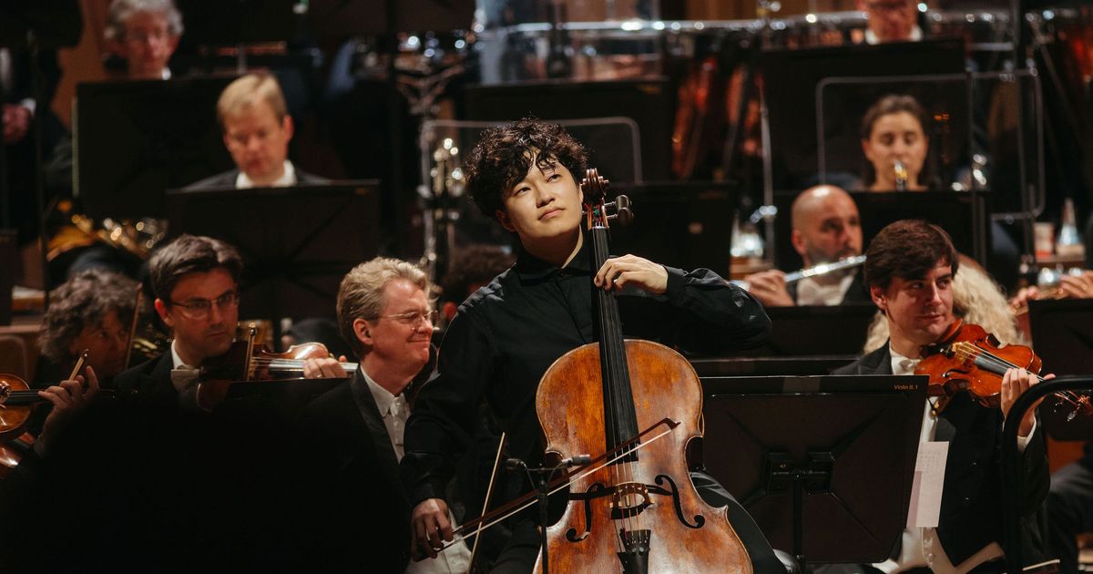 Antwerp Symphony Orchestra cover photo