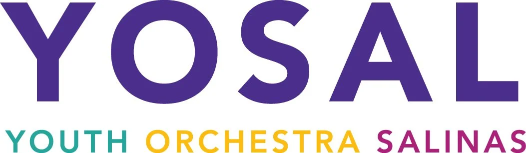 El Sistema USA/Salinas (YOSAL) cover photo