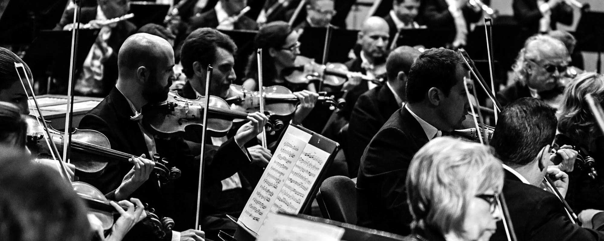 Orquesta Filarmónica de Málaga cover photo