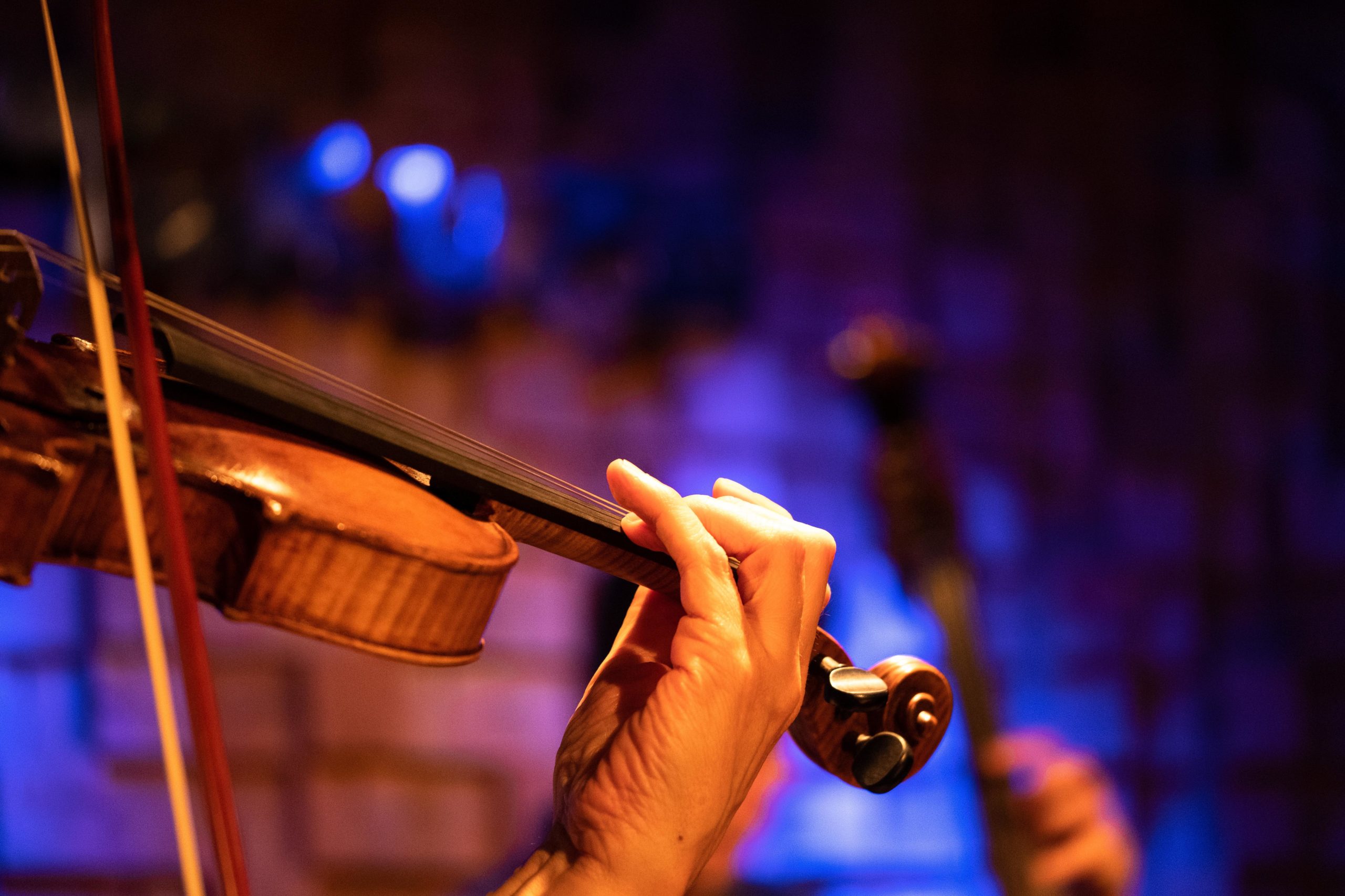 El Paso Symphony Youth Orchestras cover photo