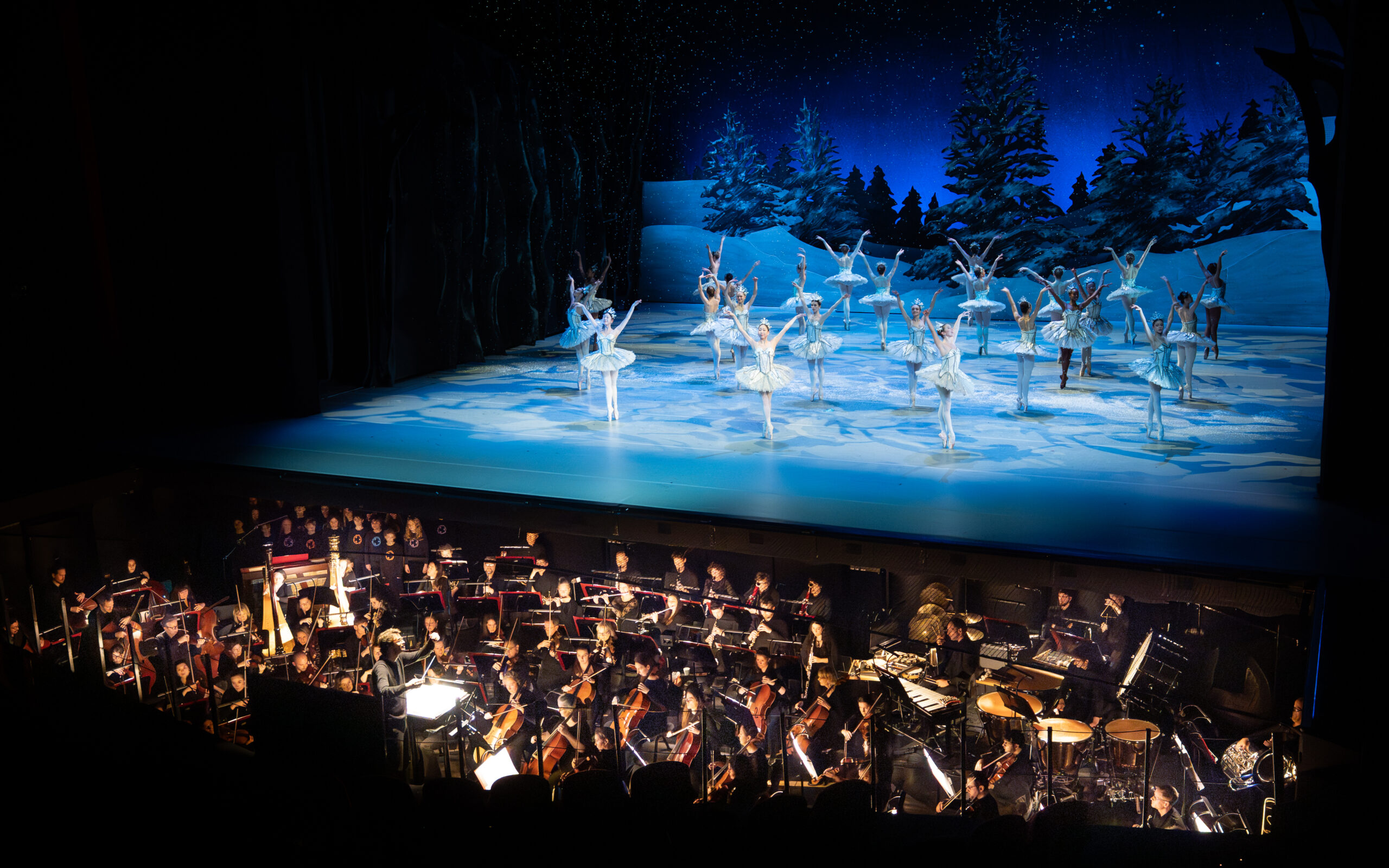 Het Balletorkest cover photo