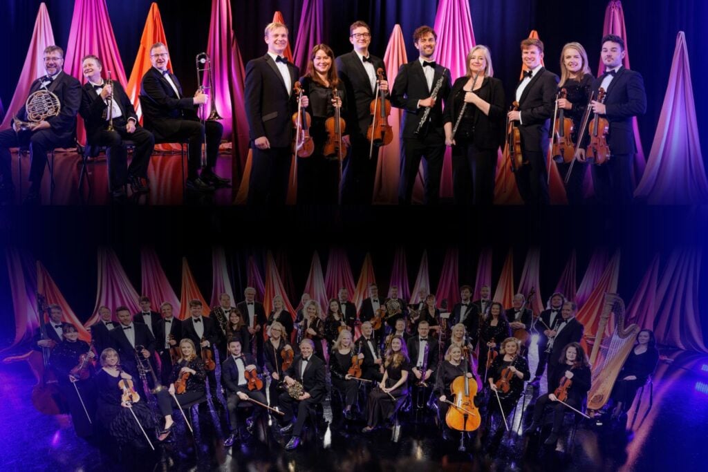 RTÉ Concert Orchestra logo