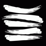 Darwin Symphony Orchestra logo