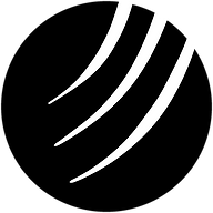 Tallinn Chamber Orchestra logo
