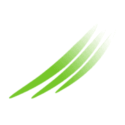 Orchestra Giovanile Veronese logo