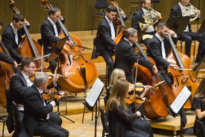 Hungarian Symphony Orchestra logo