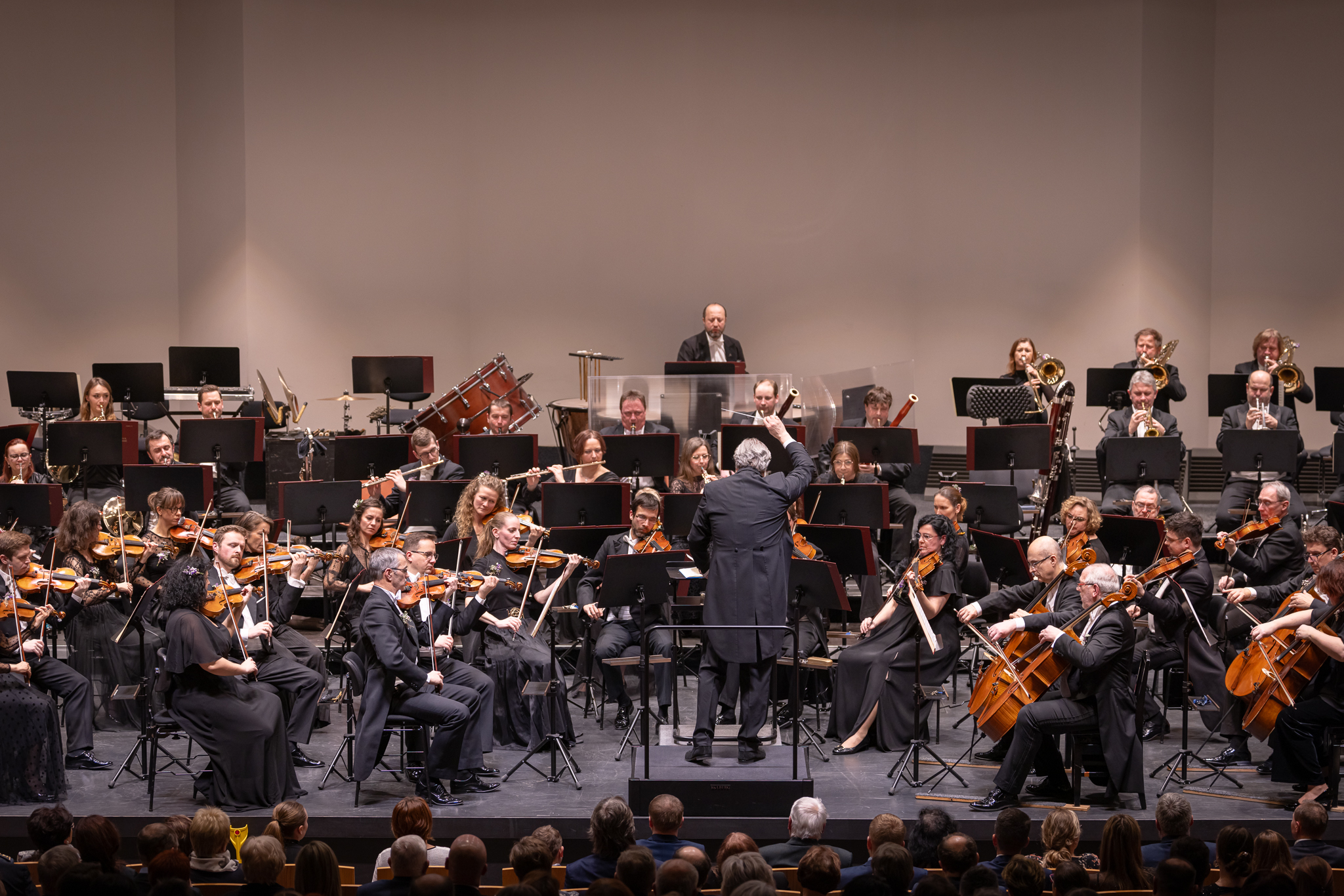 Janáček Philharmonic Ostrava logo