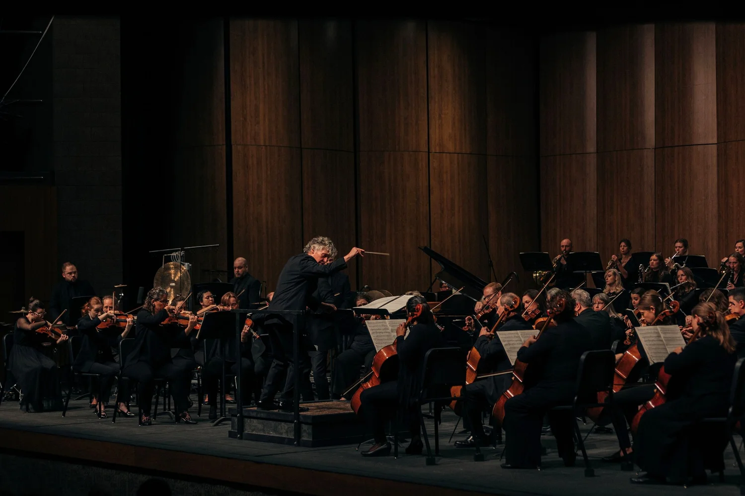 Fargo-Moorhead Symphony Orchestra logo