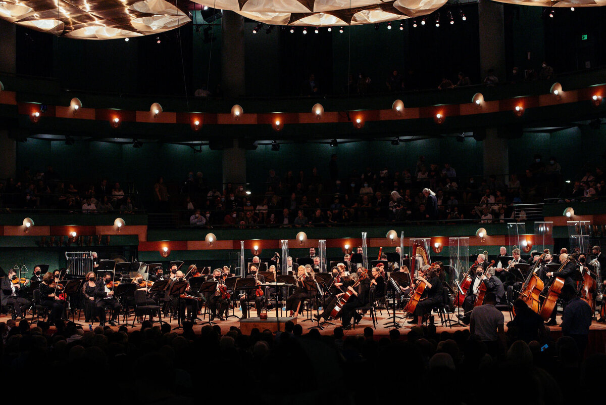 Corpus Christi Symphony Orchestra logo