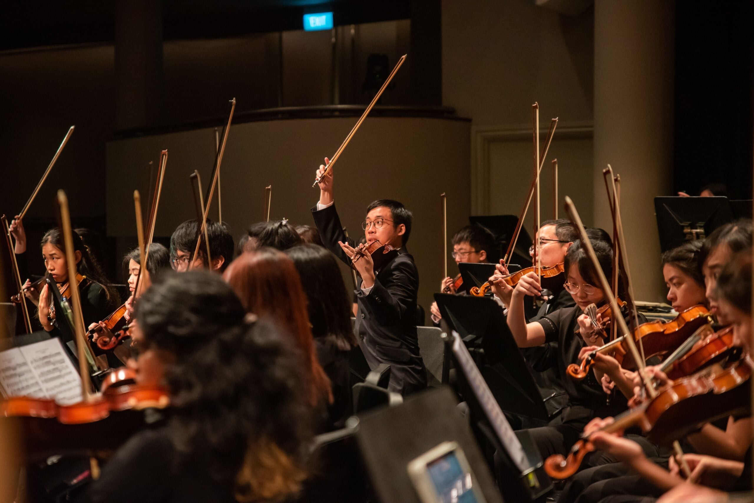 NUS Symphony Orchestra logo