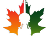 Thayer Symphony Orchestra logo