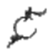 Sibiu State Philharmonic Orchestra logo