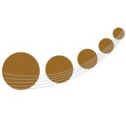 Manukau Symphony Orchestra logo