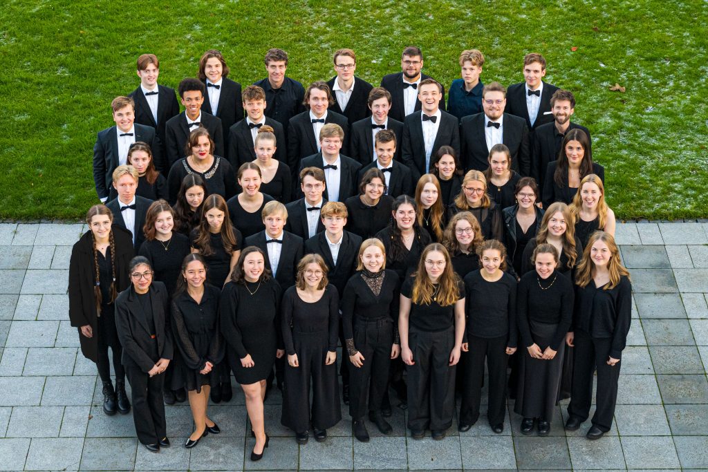 Jugend-Sinfonieorchester Ahrensburg logo