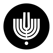 Israel Symphony Orchestra / Israeli Opera Orchestra logo