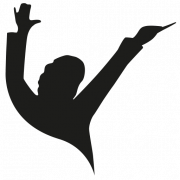 Internationale Junge Orchesterakademie logo