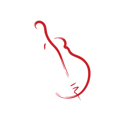 Valley Symphony Orchestra logo