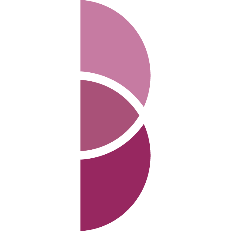 Brasov Philharmonic Orchestra logo