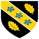 Wales international Academy of Voice logo